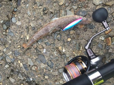 雨の中でショアジギング